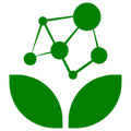 Green network diagram with two leaves on a white background