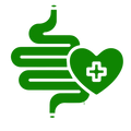 Green icon of a stomach with a heart containing a cross on a white background