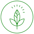 Green leaf icon within a circle on a white background