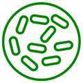 Green circular logo with a pattern of curved lines on a white background