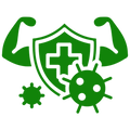 Green shield with a cross, flexing muscles, and viruses on a white background
